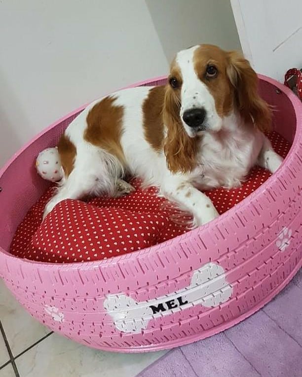 Artist Creates Beds For Animals Out Of Old Tires