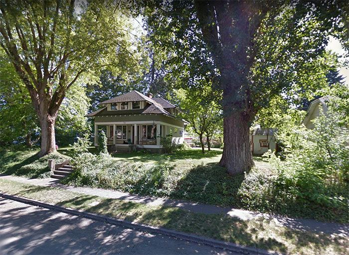 Woman Turns 110-Year-Old Tree Into A Free Little Library For The Neighbourhood And It Looks Amazing