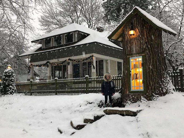 Woman Turns 110-Year-Old Tree Into A Free Little Library For The Neighbourhood And It Looks Amazing