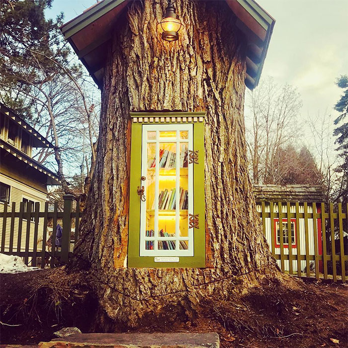 Woman Turns 110-Year-Old Tree Into A Free Little Library For The Neighbourhood And It Looks Amazing