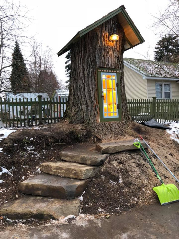 Woman Turns 110-Year-Old Tree Into A Free Little Library For The Neighbourhood And It Looks Amazing