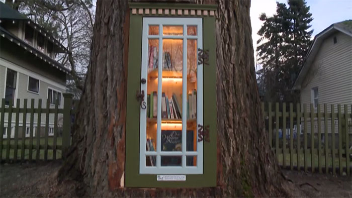 Woman Turns 110-Year-Old Tree Into A Free Little Library For The Neighbourhood And It Looks Amazing