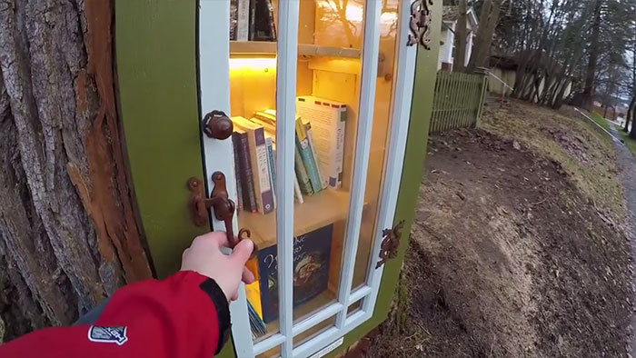 Woman Turns 110-Year-Old Tree Into A Free Little Library For The Neighbourhood And It Looks Amazing