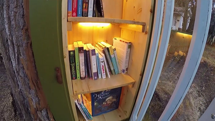 Woman Turns 110-Year-Old Tree Into A Free Little Library For The Neighbourhood And It Looks Amazing