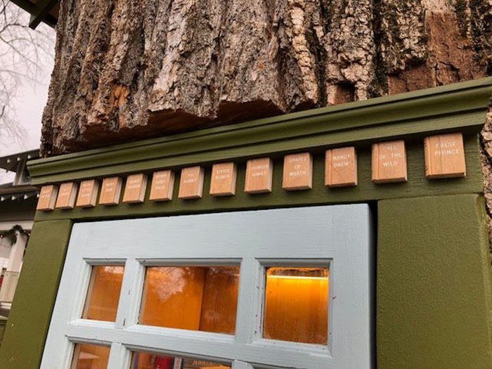 Woman Turns 110-Year-Old Tree Into A Free Little Library For The Neighbourhood And It Looks Amazing