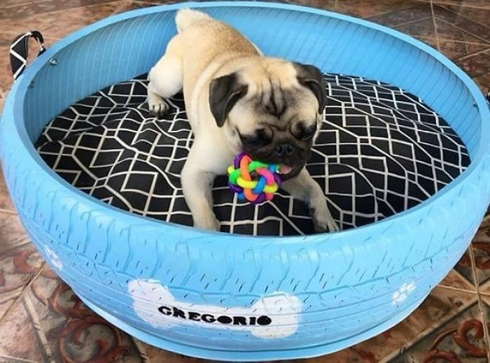 Artist Creates Beds For Animals Out Of Old Tires