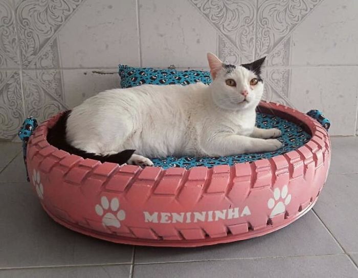 Artist Creates Beds For Animals Out Of Old Tires