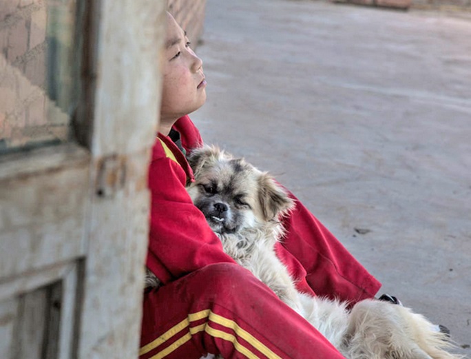 8-Year-Old Boy Travels More Than 6 Miles To School Daily With His Dog