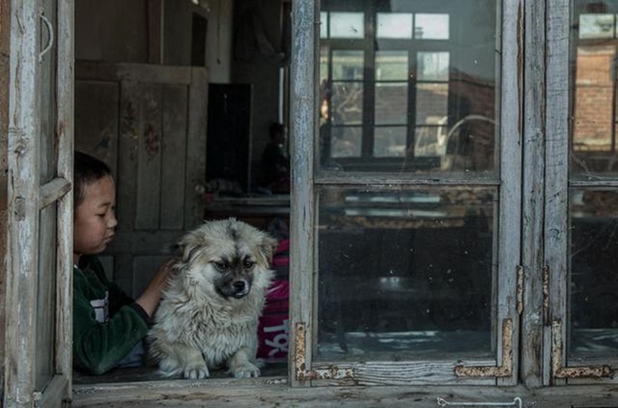 8-Year-Old Boy Travels More Than 6 Miles To School Daily With His Dog