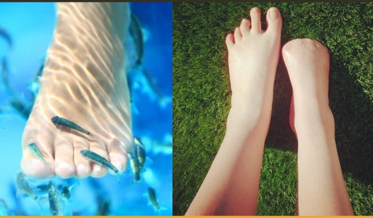 Fish Pedicure Costs This Woman Her Toes
