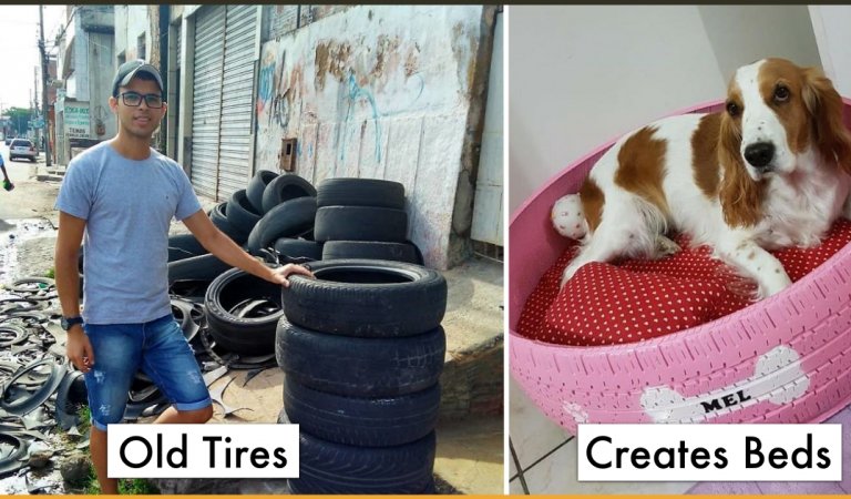Artist Creates Beds For Animals Out Of Old Tires To Tackle The Problem Of Garbage