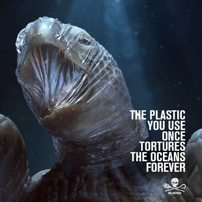 Poster showing world Ocean Plastic Pollution on marine animals