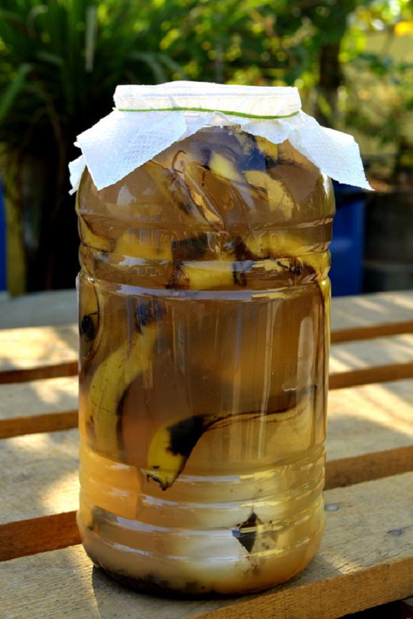 Amazing Uses Of Banana Peel That Would Want You To Throw Them From Next Time