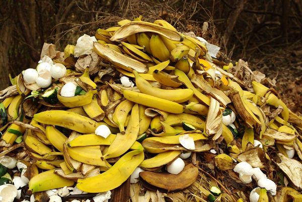 Amazing Uses Of Banana Peel That Would Want You To Throw Them From Next Time
