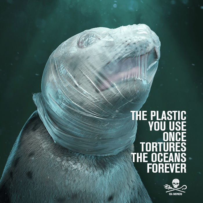 Ocean Plastic Pollution affects marine animals in the world 