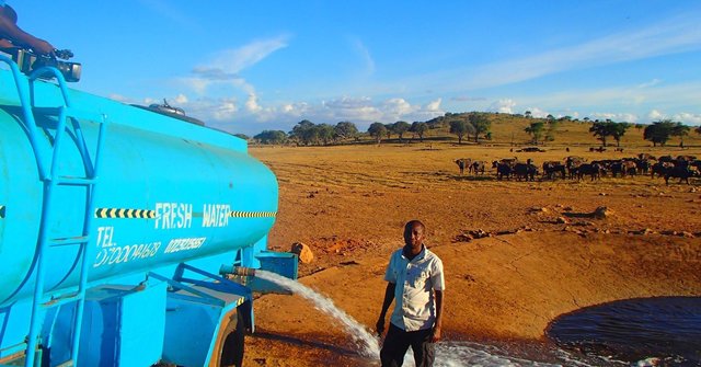 Here Is Kenya's Water Man Who Travels Miles Daily To Save animals From Thirst Providing Them Truckloads Of Water