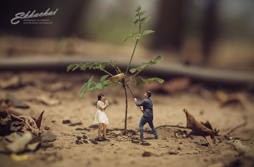 Photographer Turns Real People Into Adorable Miniatures, See The Amazing Results!