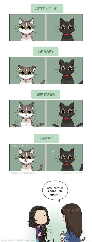 Artist Depicts Her Everyday Life With Her Boyfriend And Cat Through Beautiful Illustrations