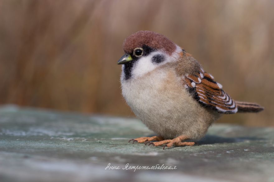 Artist Creates Astonishingly Realistic Animal Toys With Wool