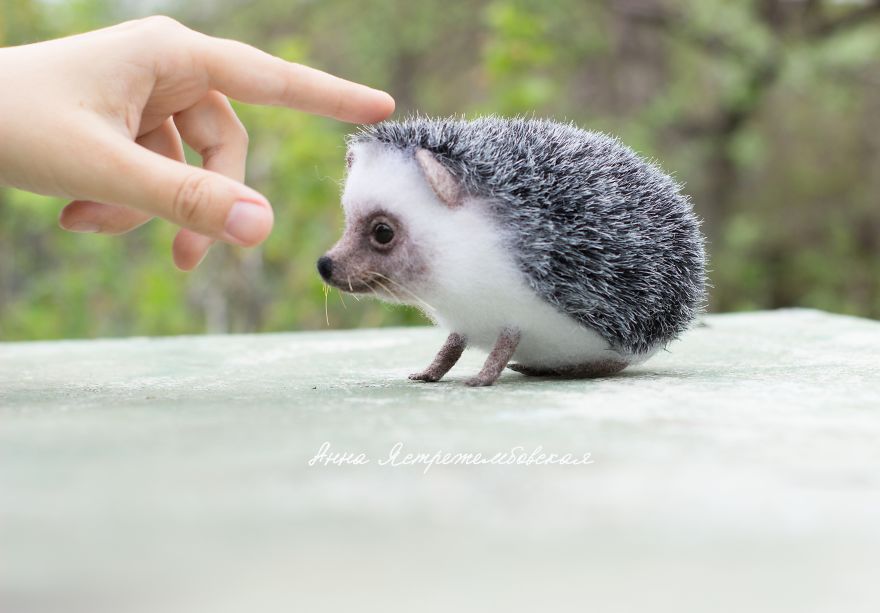 Artist Creates Astonishingly Realistic Animal Toys With Wool