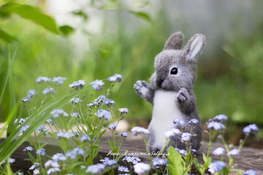 Artist Creates Astonishingly Realistic Animal Toys With Wool