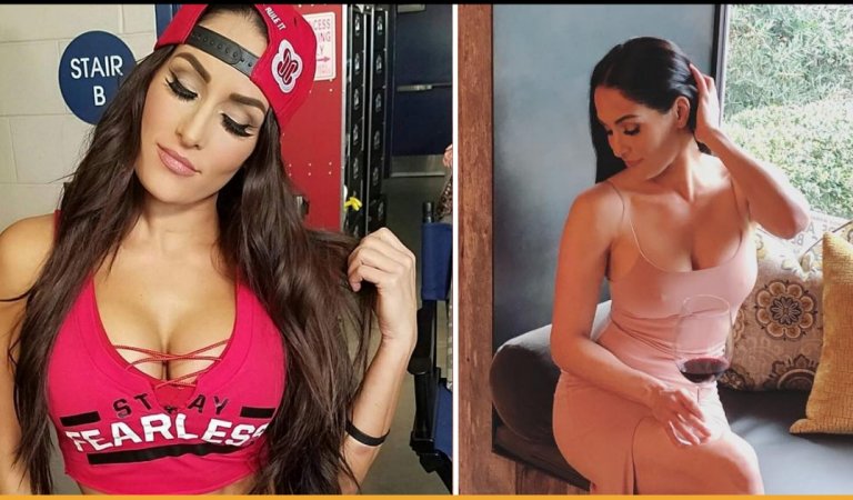 Nikki Bella Is Retiring From WWE After Having A 12-Year Career In Professional Wrestling