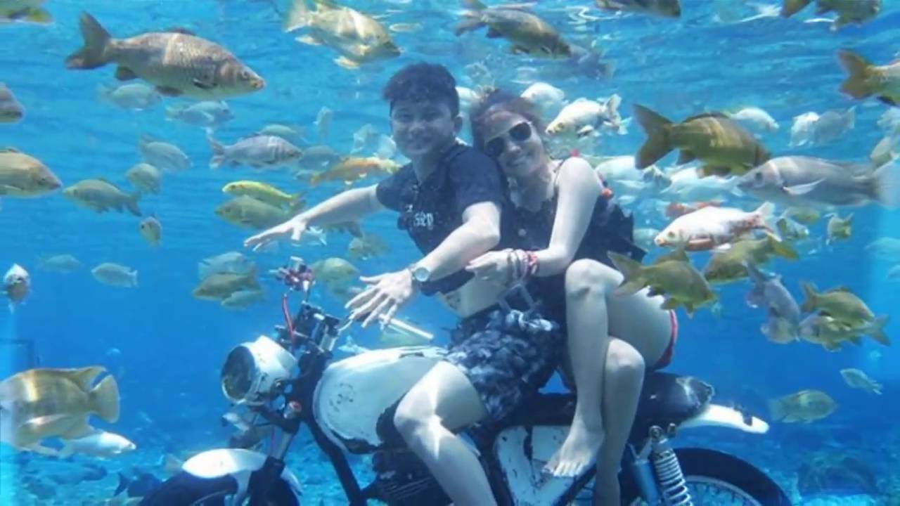 This Underwater Attraction In Indonesia Is Best To Visit And Take The Most Of Pictures