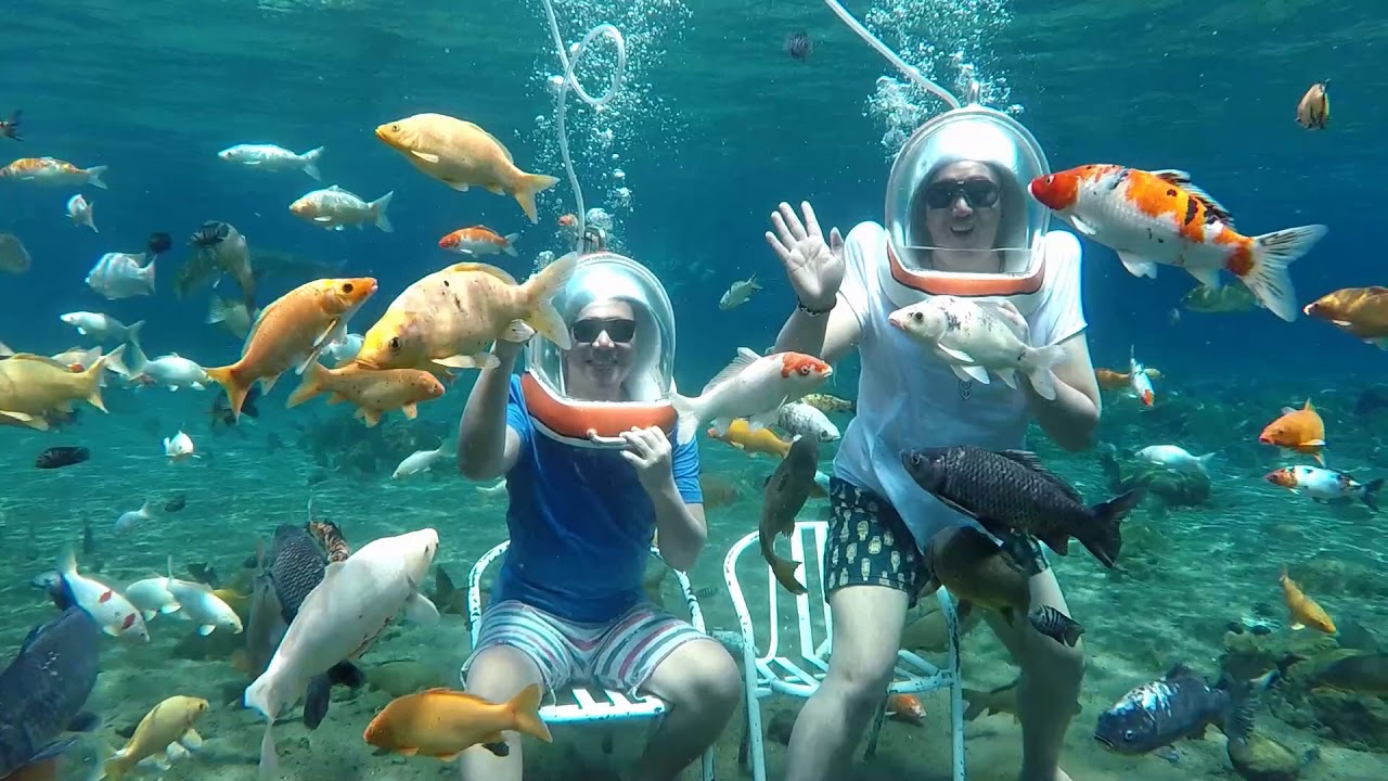 This Underwater Attraction In Indonesia Is Best To Visit And Take The Most Of Pictures