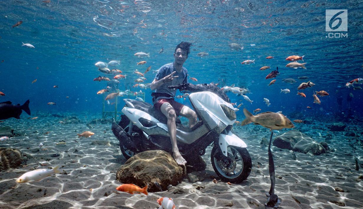 This Underwater Attraction In Indonesia Is Best To Visit And Take The Most Of Pictures