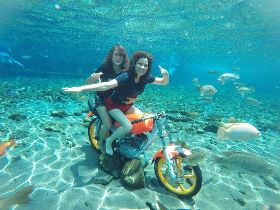 This Underwater Attraction In Indonesia Is Best To Visit And Take The Most Of Pictures