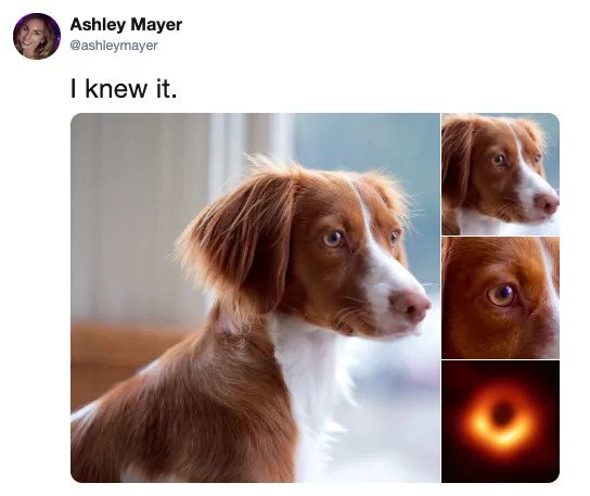 Funniest Meme Reactions To The First Picture Of Black Hole