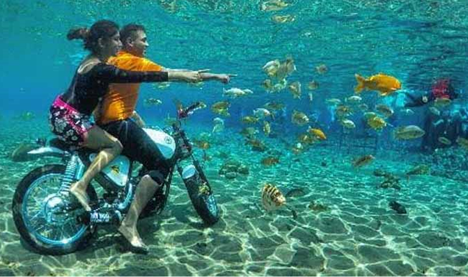 This Underwater Attraction In Indonesia Is Best To Visit And Take The Most Of Pictures