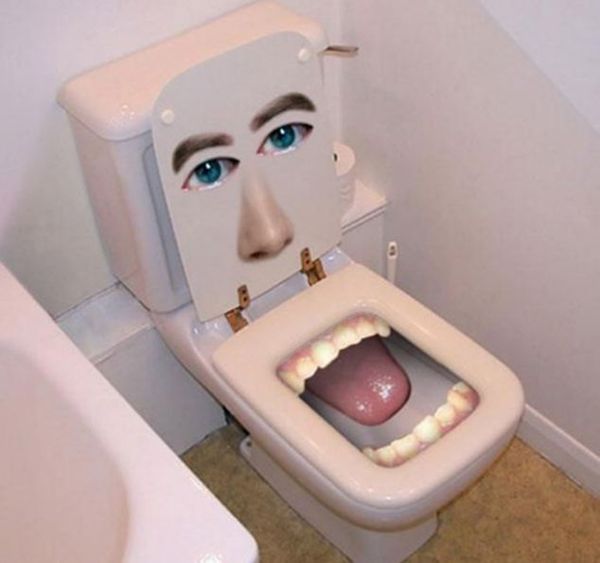 A Toilet seat can be designed in several ways and in cases may seem perfect.