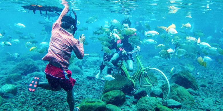 This Underwater Attraction In Indonesia Is Best To Visit And Take The Most Of Pictures