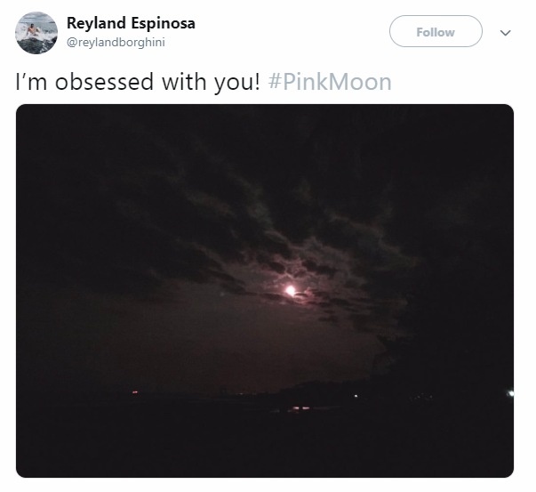Sky Is Filled With Moonlight From Pink Moon and Internet From Pictures Of It