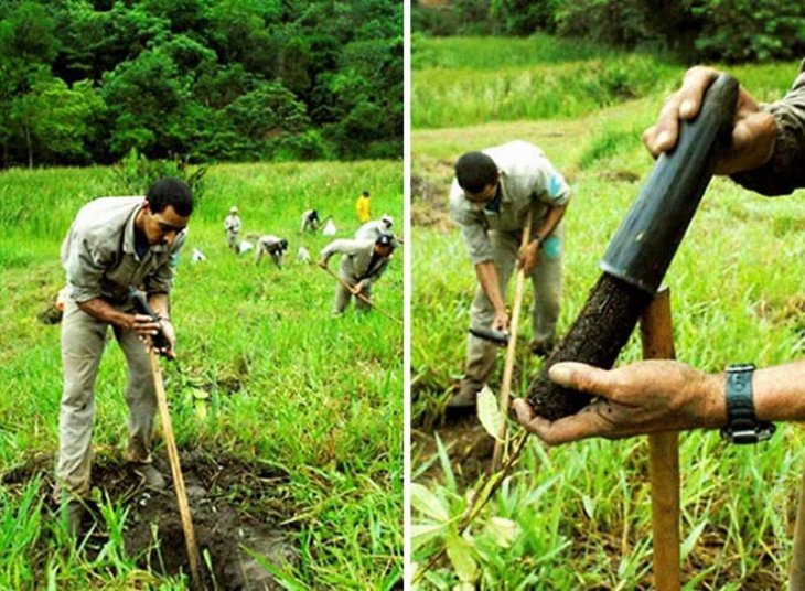 Brazilian Couple Planted Trees For 2 Decades And Restored The Destroyed Forest