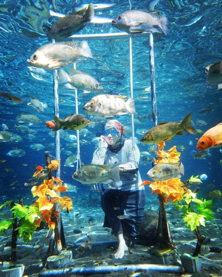 This Underwater Attraction In Indonesia Is Best To Visit And Take The Most Of Pictures