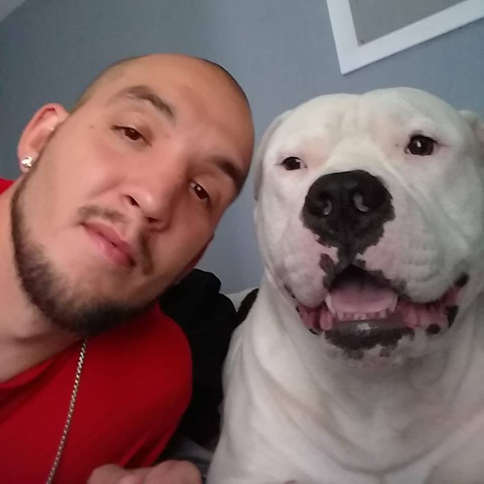 Man Decided To Sell His Car To Save His Dog's Life Before Strangers Came To Help