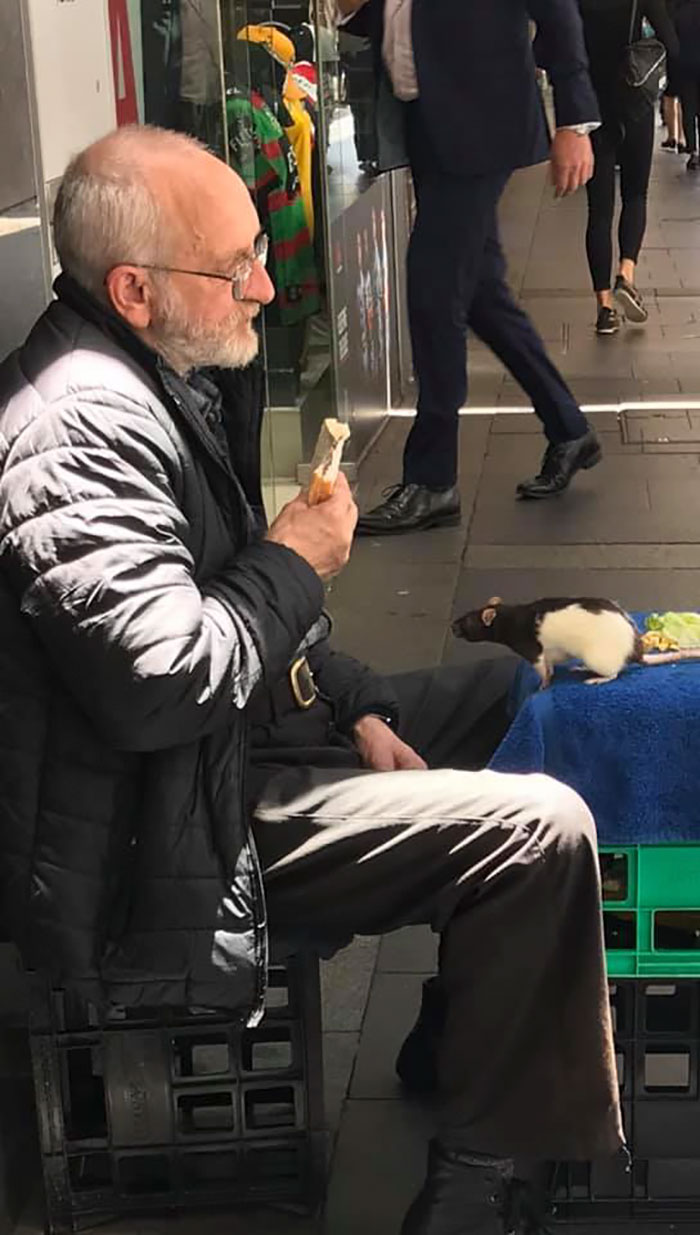 Homeless Man Seeks Help To Find His Stolen Beloved Rat