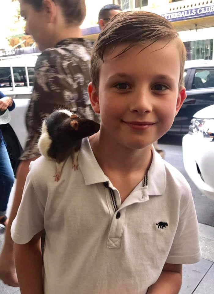 Homeless Man Seeks Help To Find His Stolen Beloved Rat