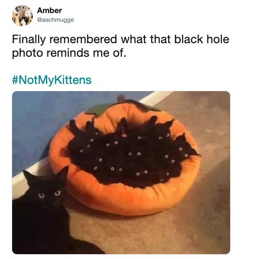 Funniest Meme Reactions To The First Picture Of Black Hole