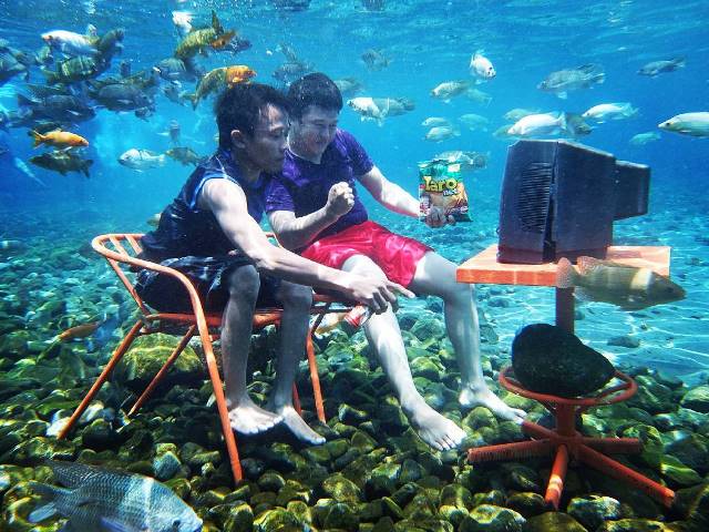 This Underwater Attraction In Indonesia Is Best To Visit And Take The Most Of Pictures