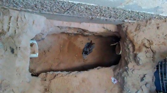 Man Digs A Tunnel To Spy On Ex-Girlfriend And Nearly Buries Himself Alive