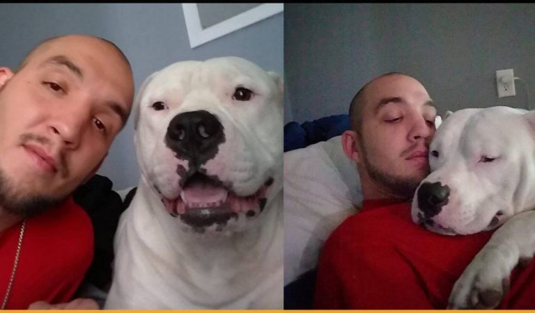 Man Decided To Sell His Car To Save His Dog’s Life Before Strangers Came To Help