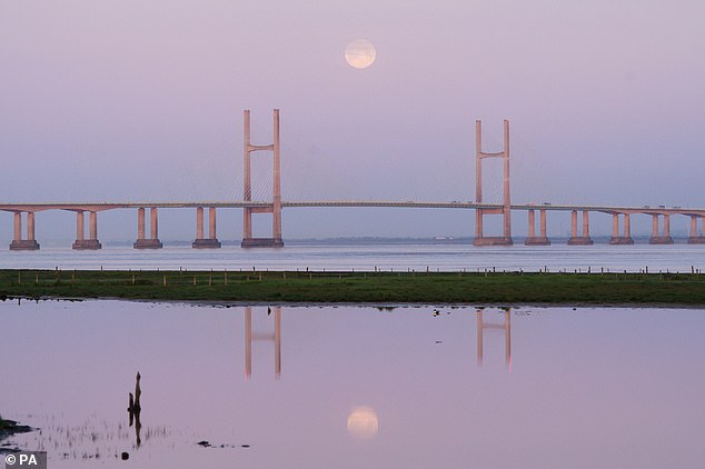 stargazers, good friday, full pink moon