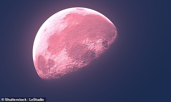 stargazers, good friday, full pink moon