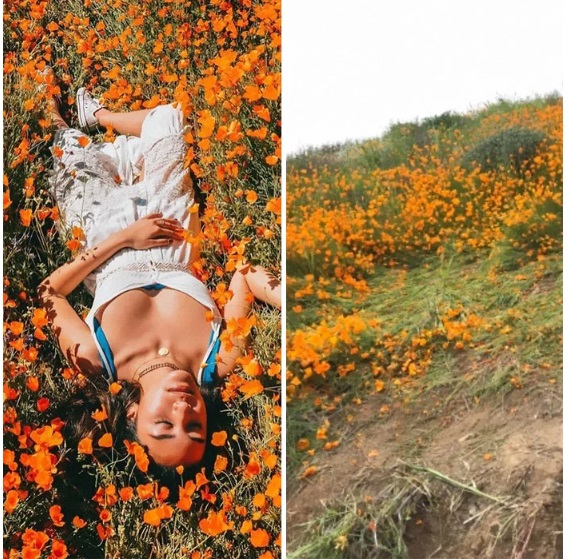The Truth Behind Perfect Pictures Of Instagram Is Far Wicked Than You Can Think Of