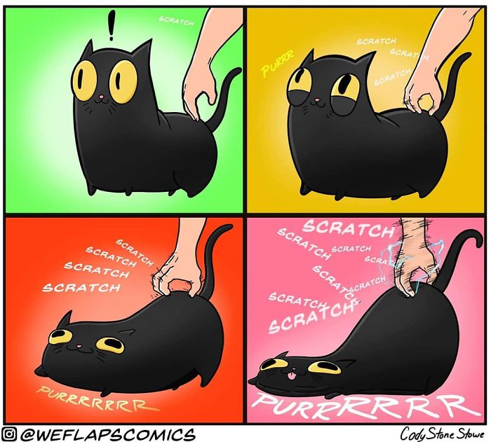 Living with cat through comics