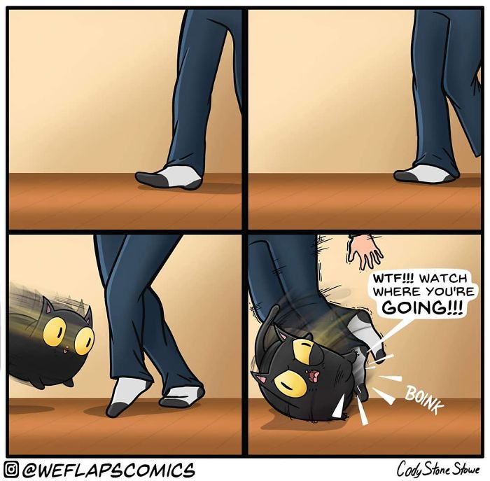 Living with cat through comics