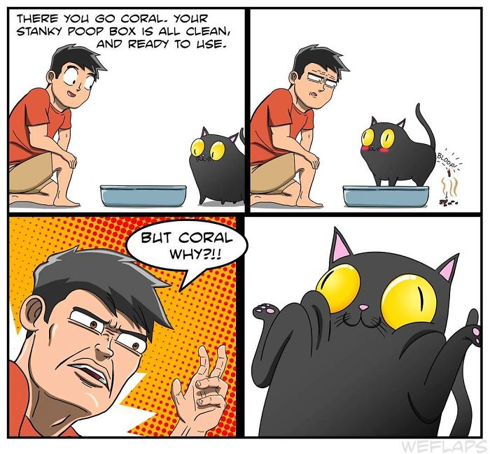 Living with cat through comics